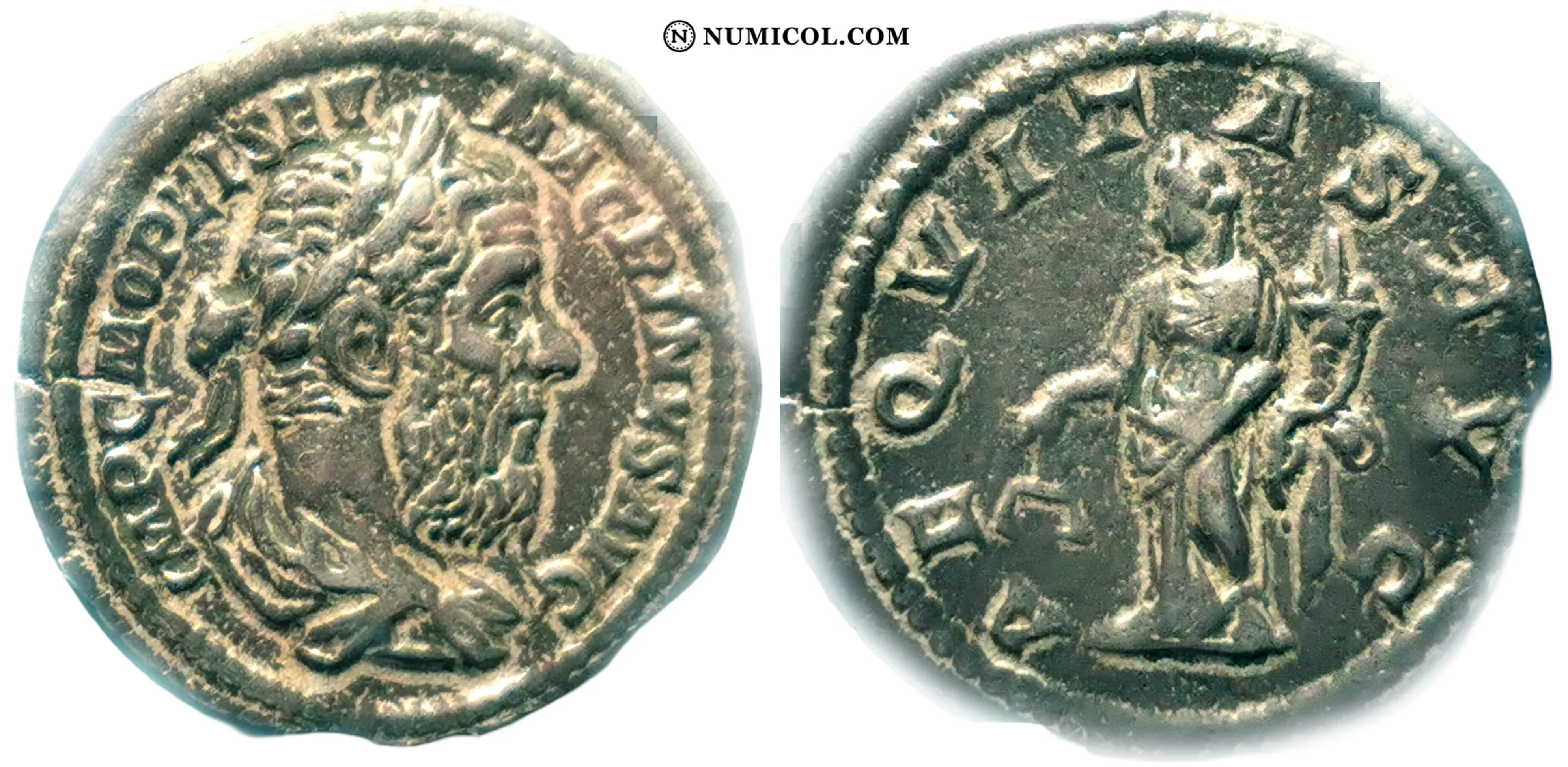 Moneda RI-17