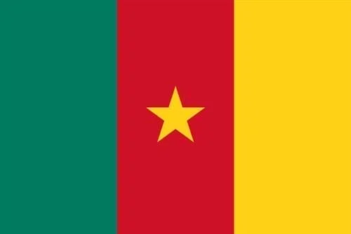 Bandera de Camerún