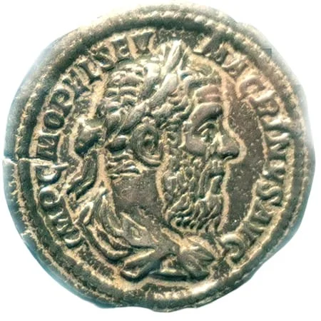 Macrino