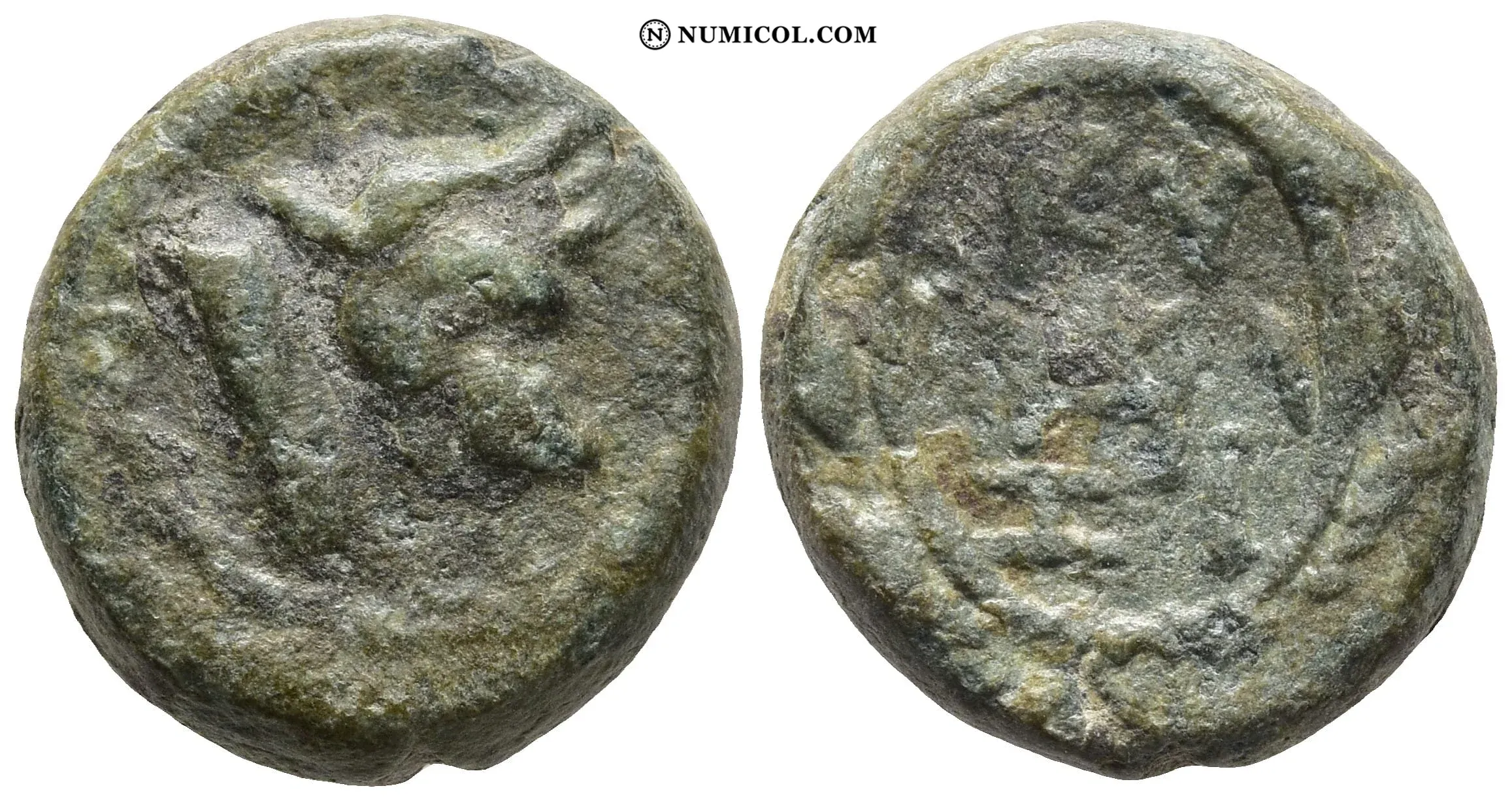 Moneda G-14