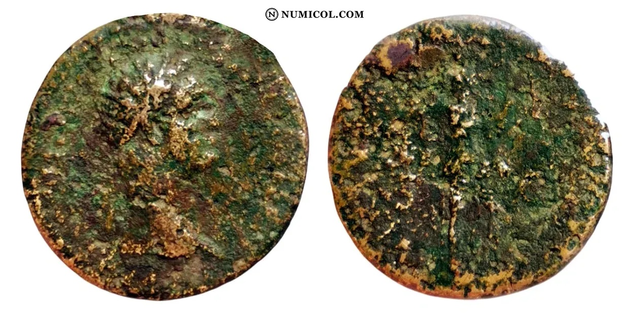 Moneda RI-164
