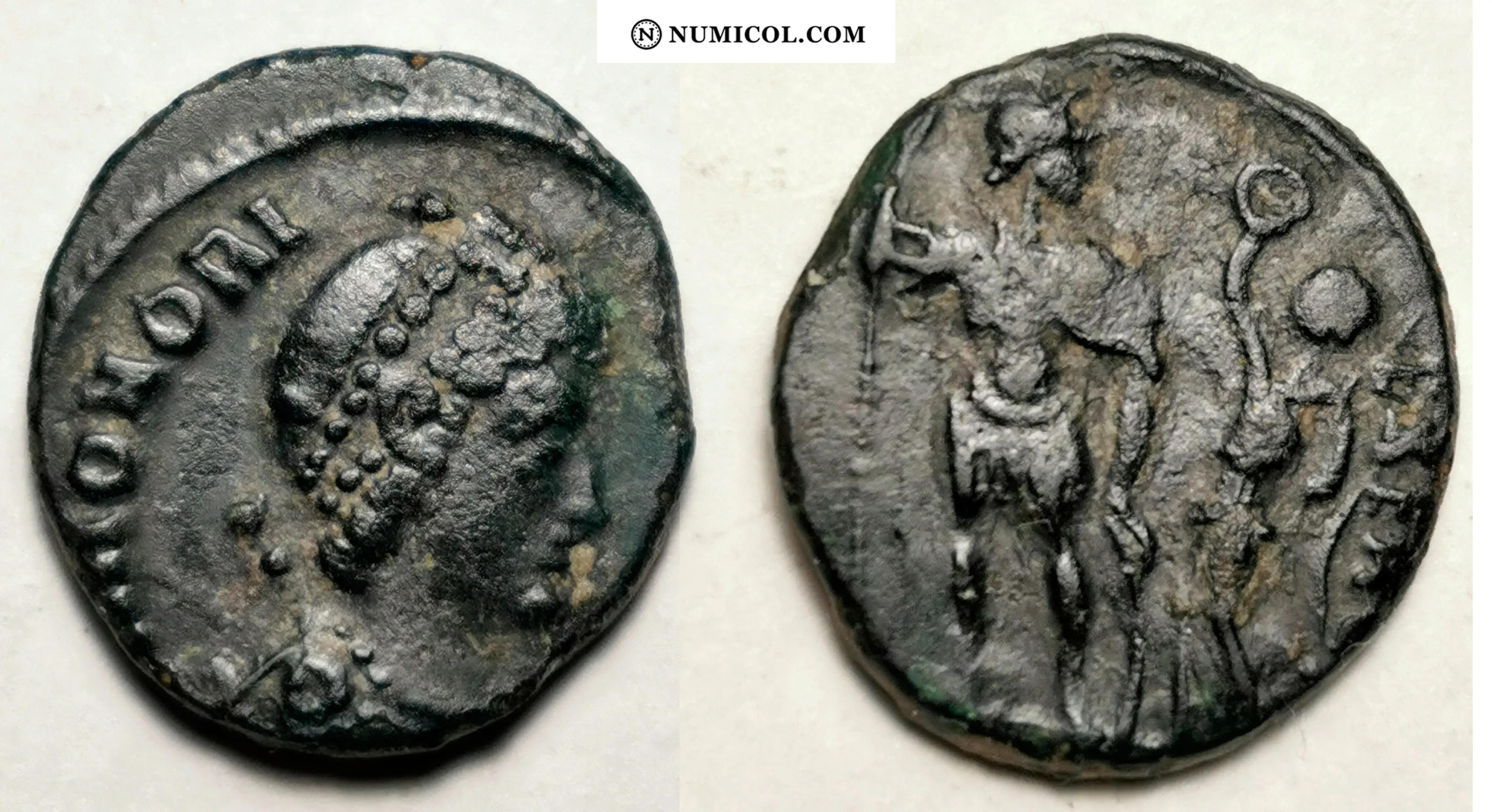 R187 Follis