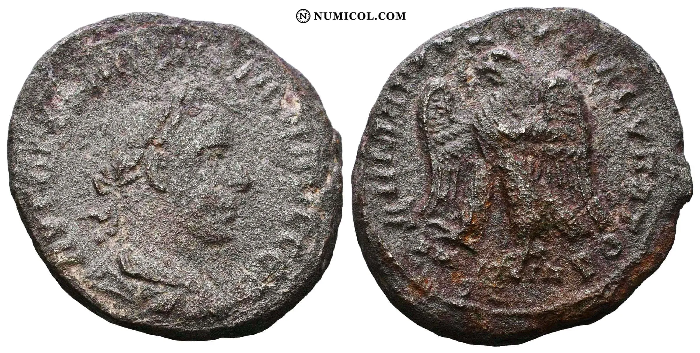 Moneda P13