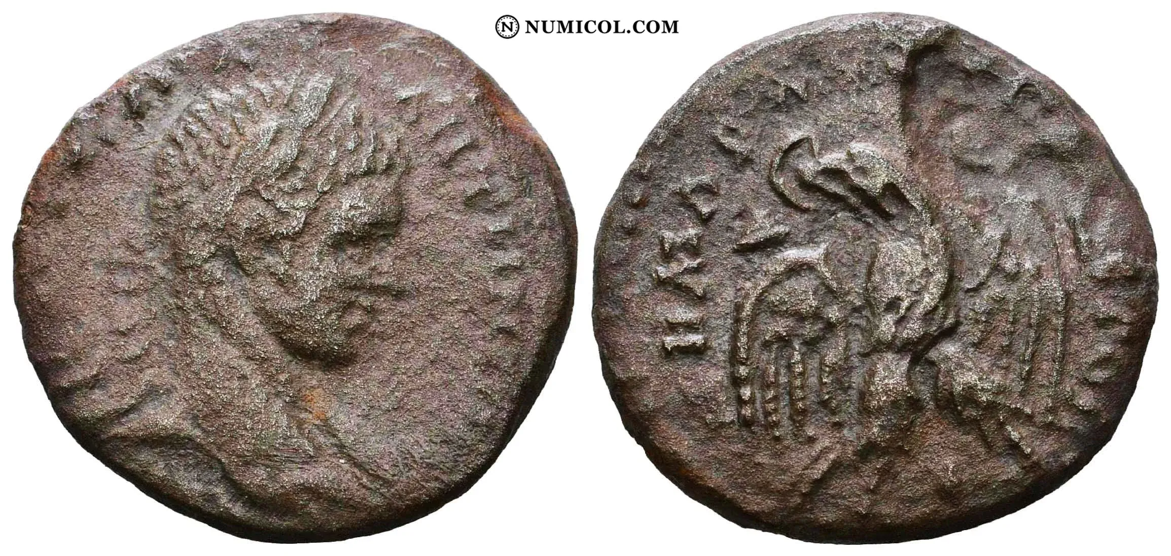 Moneda P15