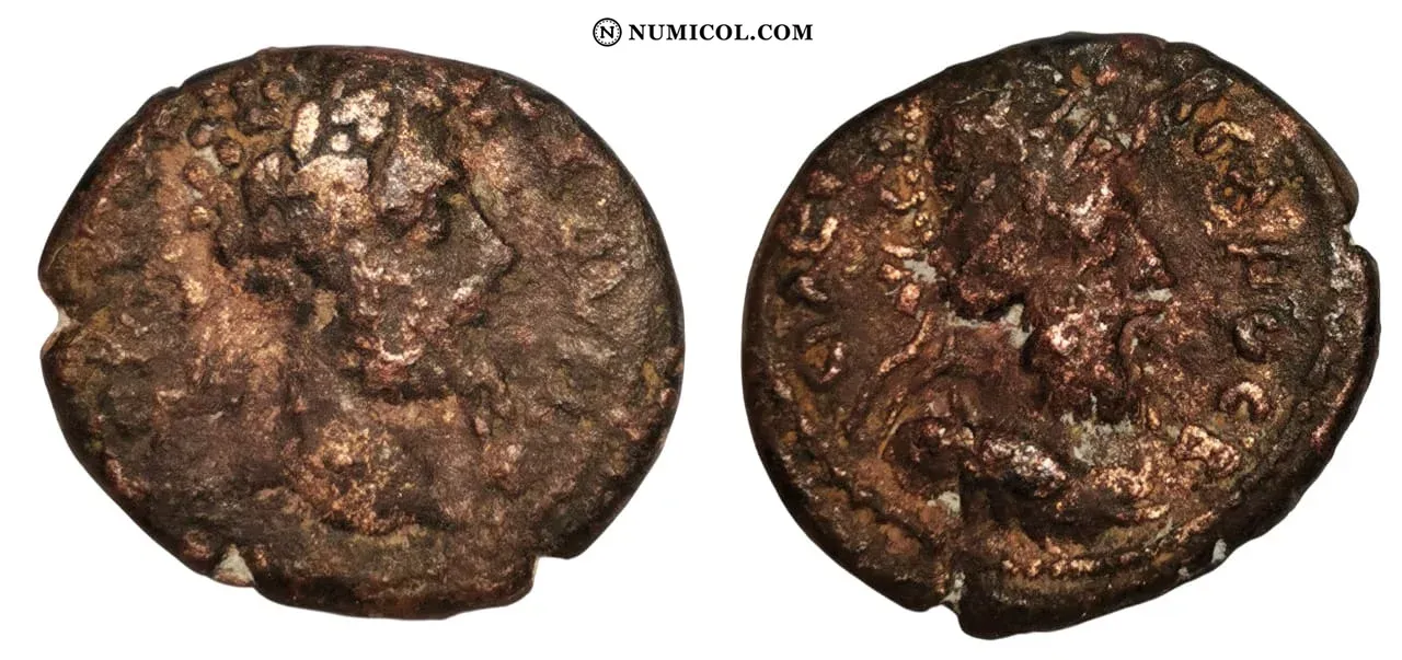 Moneda P37