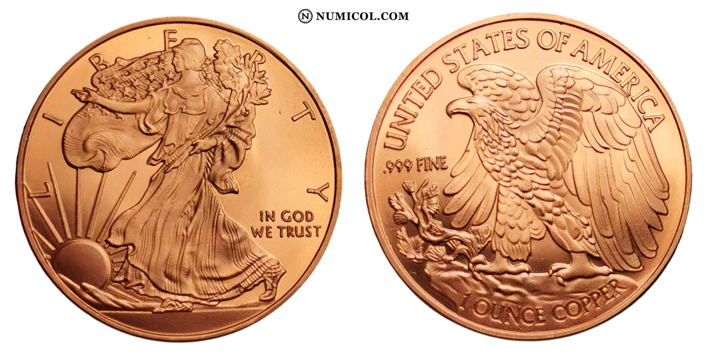 1 Onza de Cobre Walking Liberty Half Dollar Replica - Colección Numismática