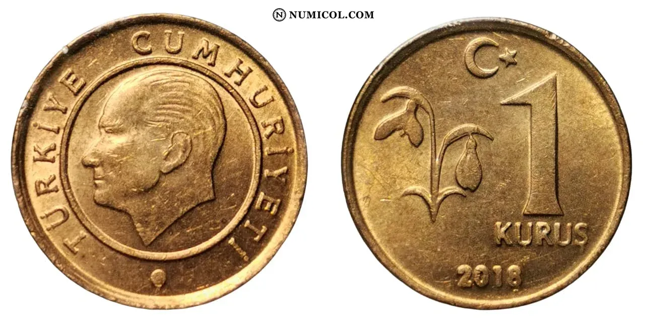 1 Kuruş