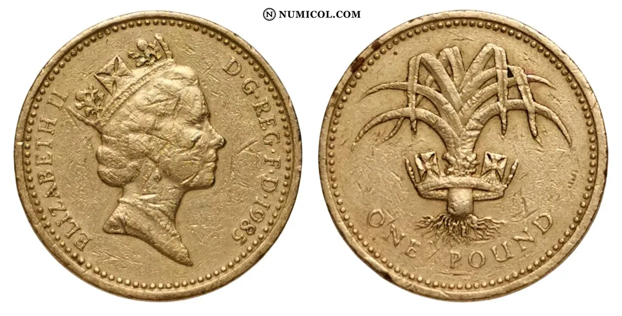1 Pound - Elizabeth II (3rd portrait; Welsh Leek)