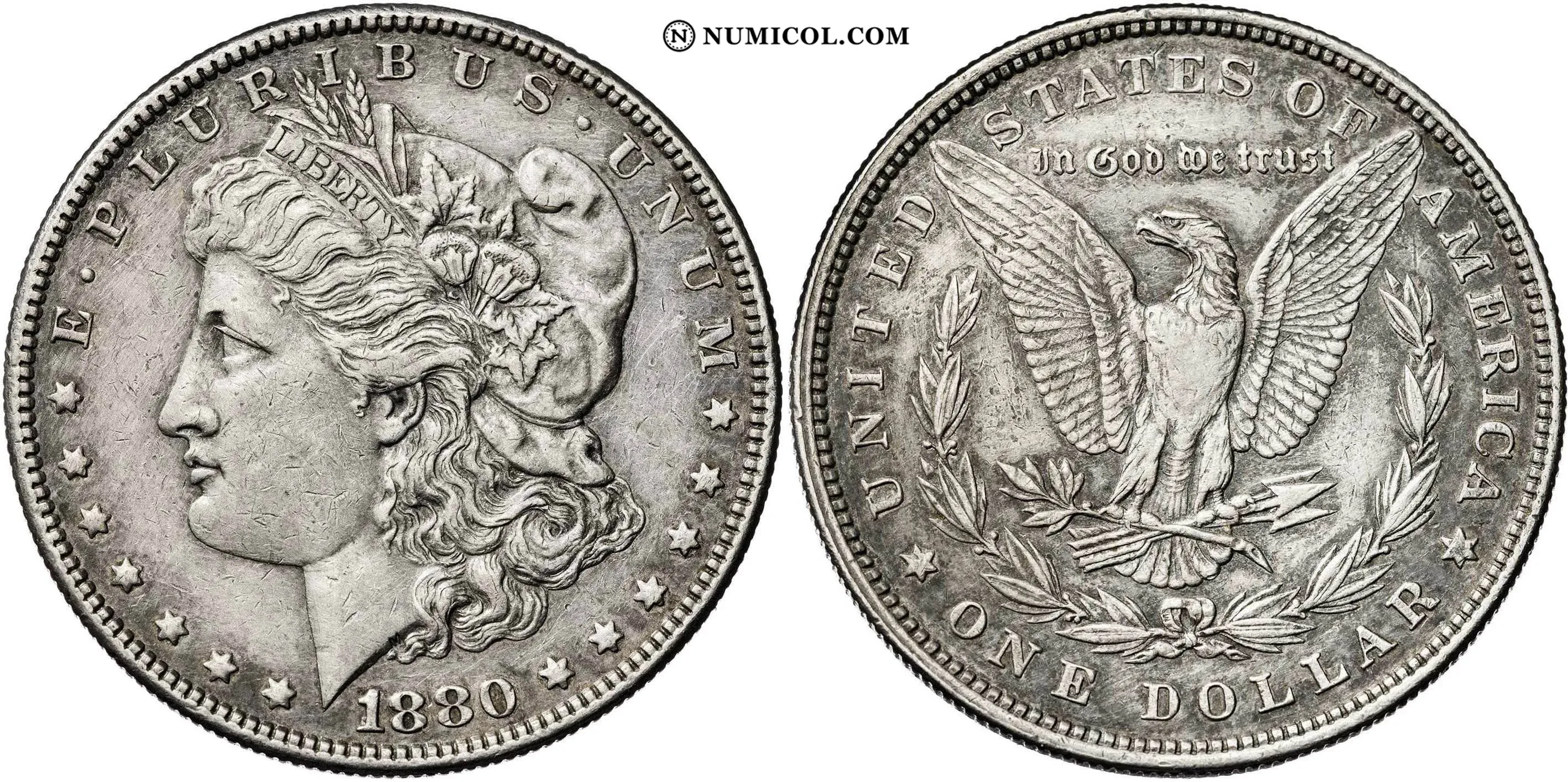 1 Dollar "Morgan Dollar"
