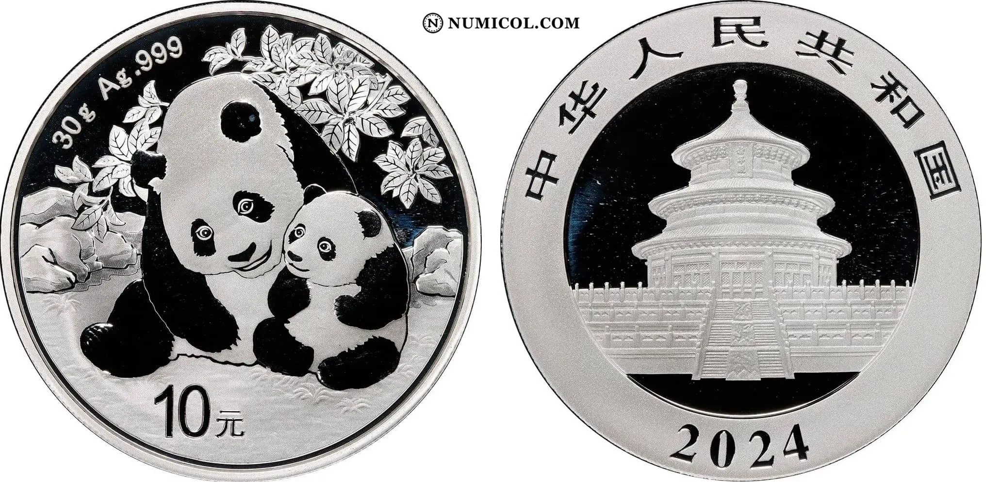 Moneda 10 Yuan Panda 2024