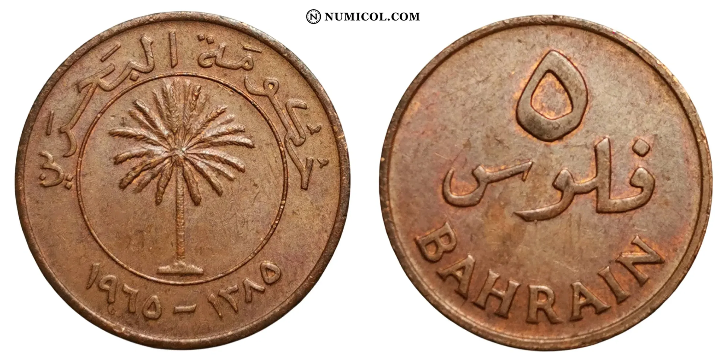 5 Fils