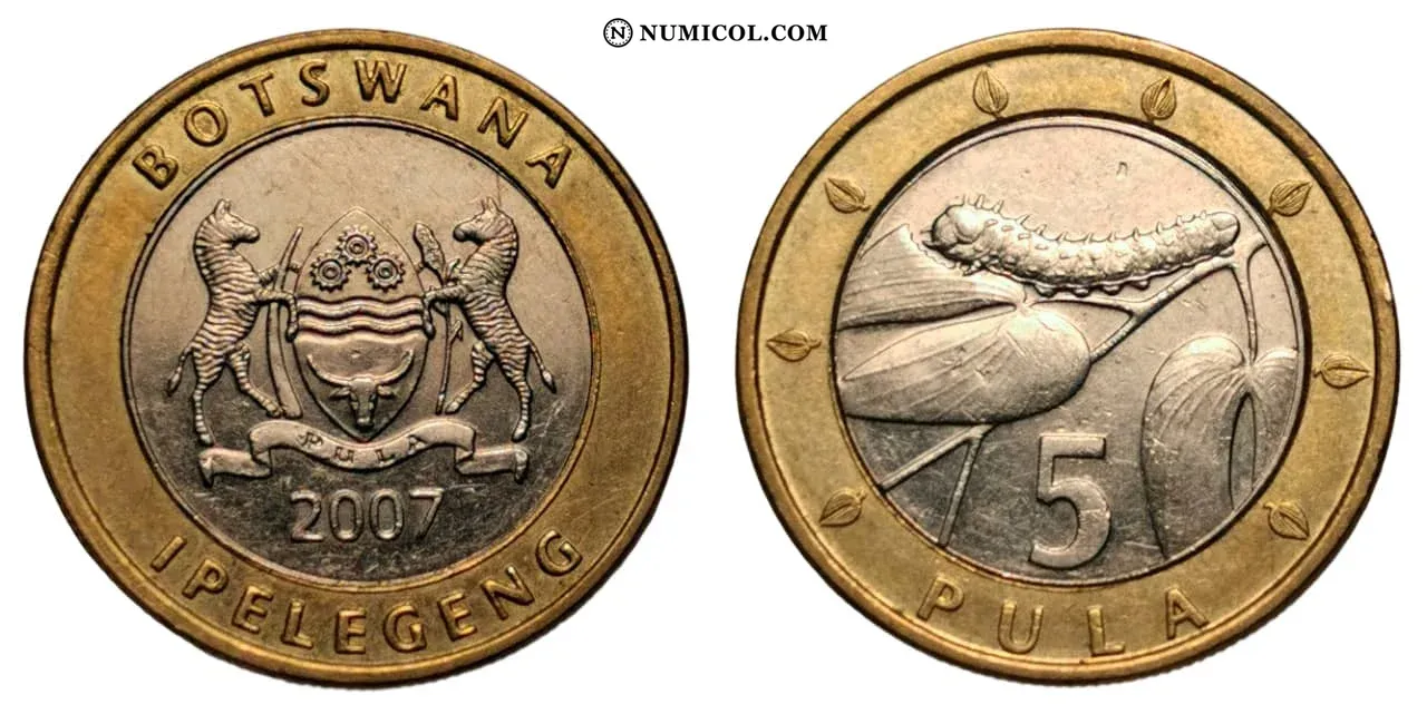 5 Pula