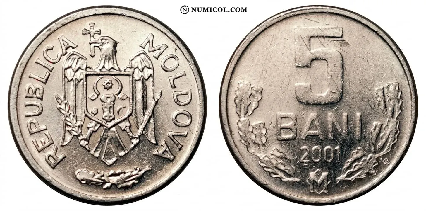 5 Bani