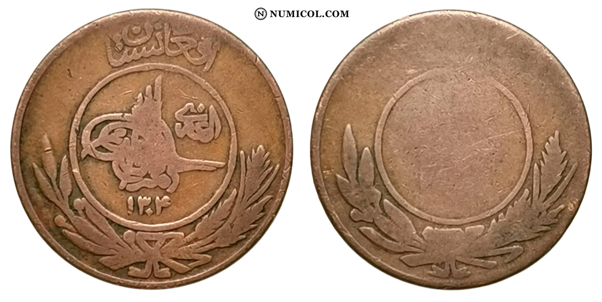 Moneda 20 Pul - Muhammed Nadir Shah