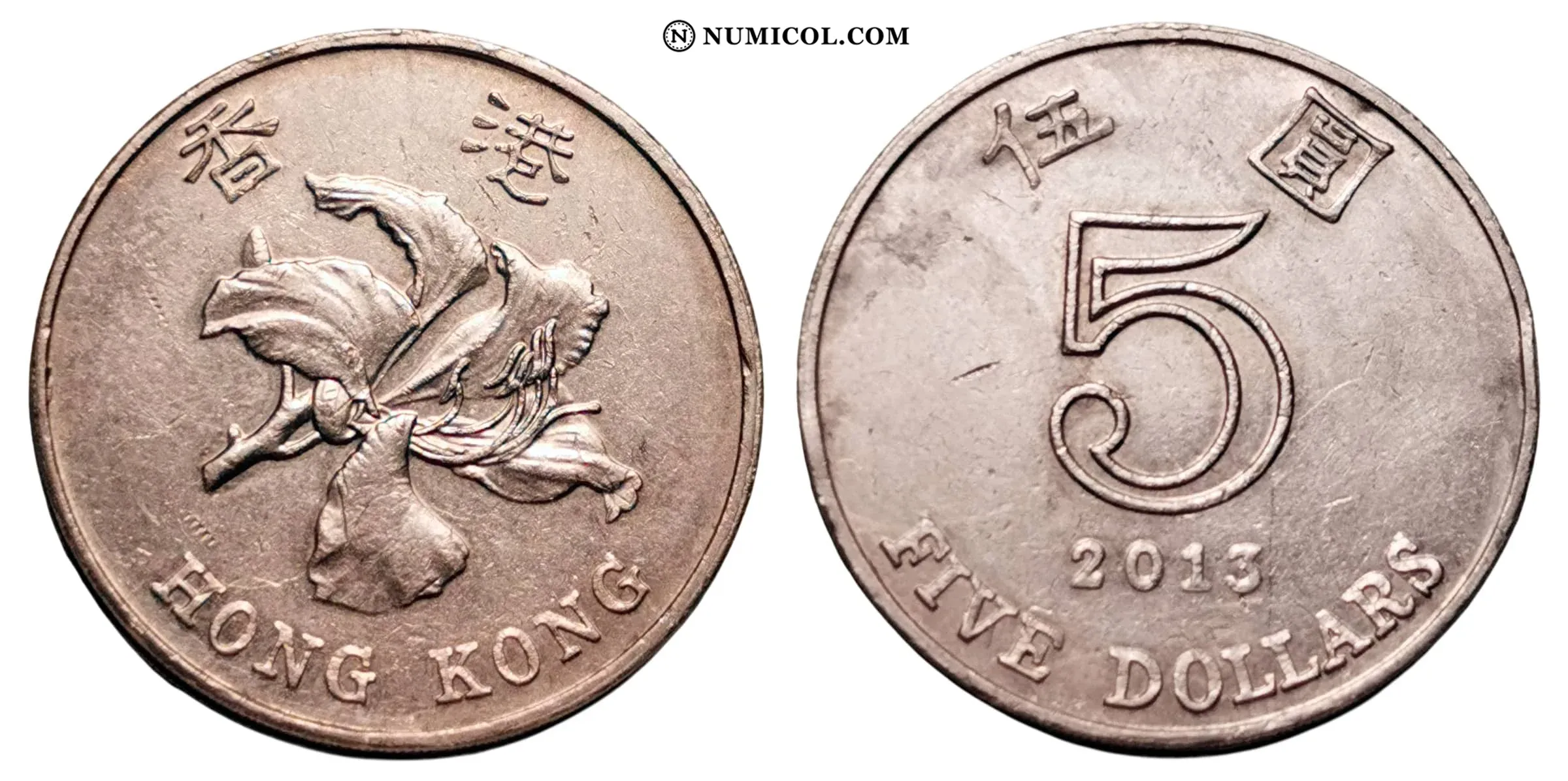 Moneda 5 Dólares