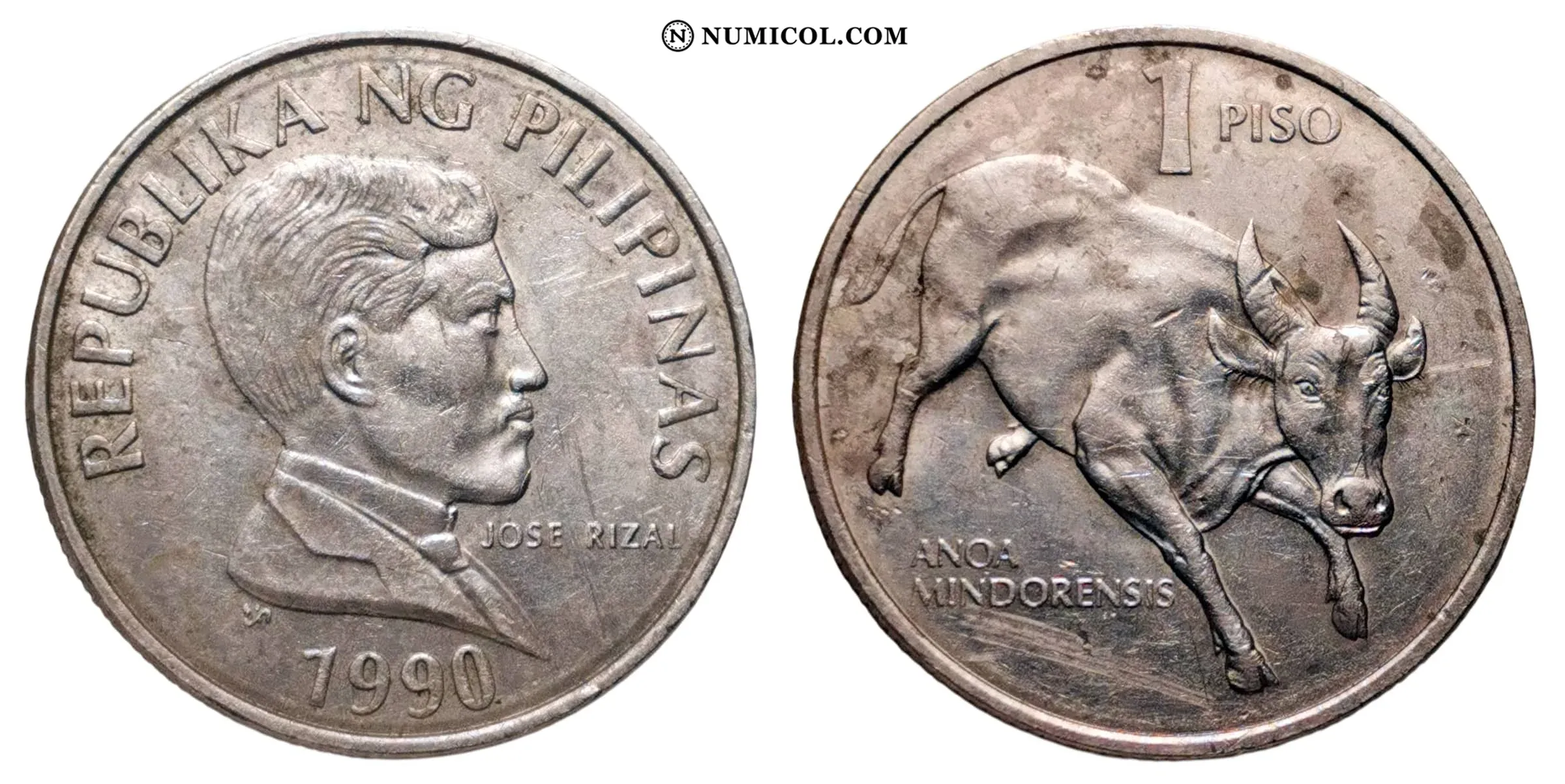1 Piso (Large type)