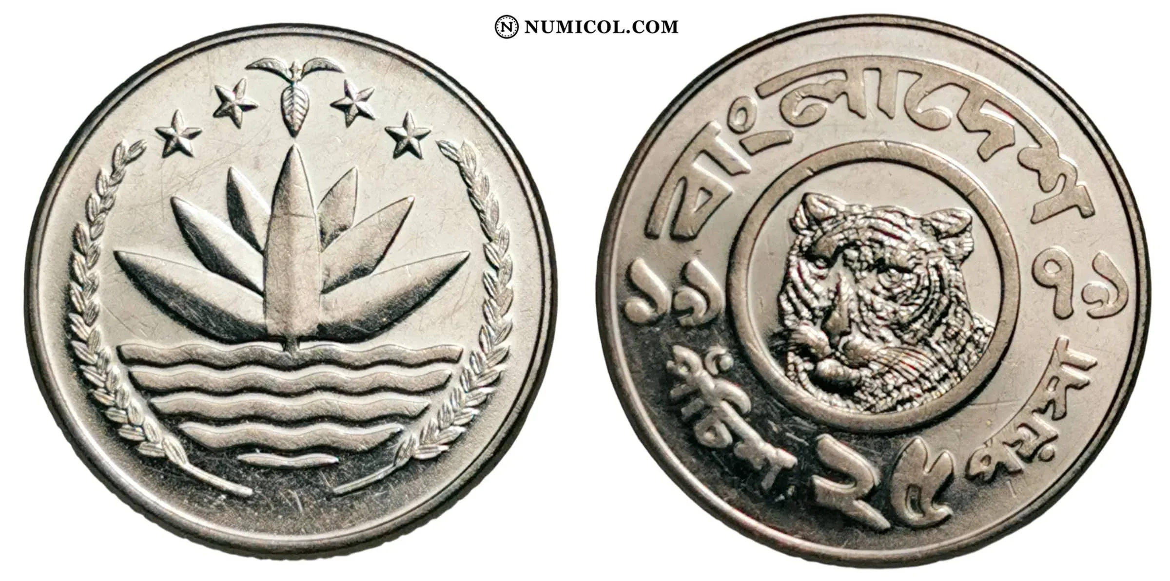 25 Poisha