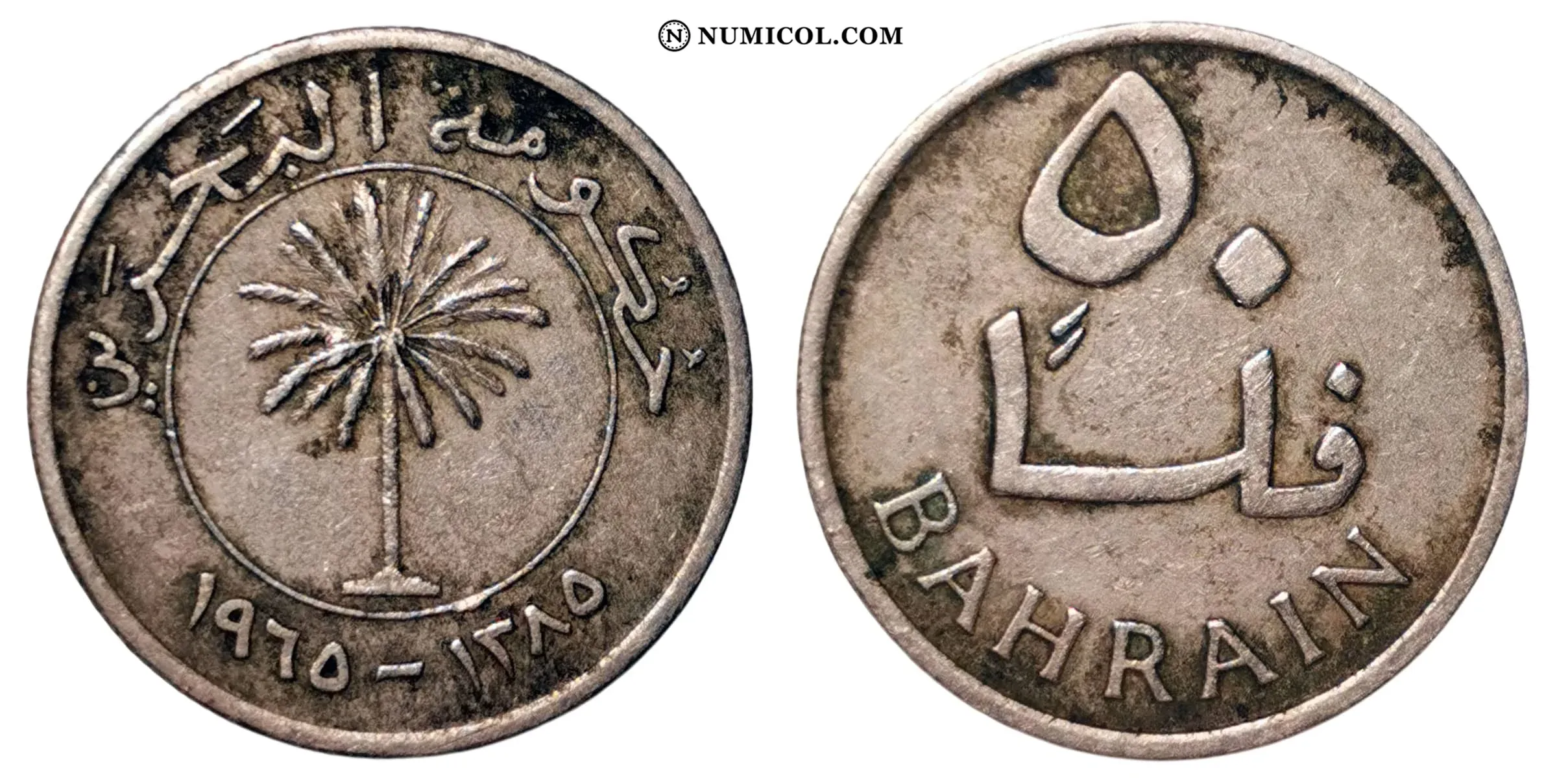 Moneda 50 Fils
