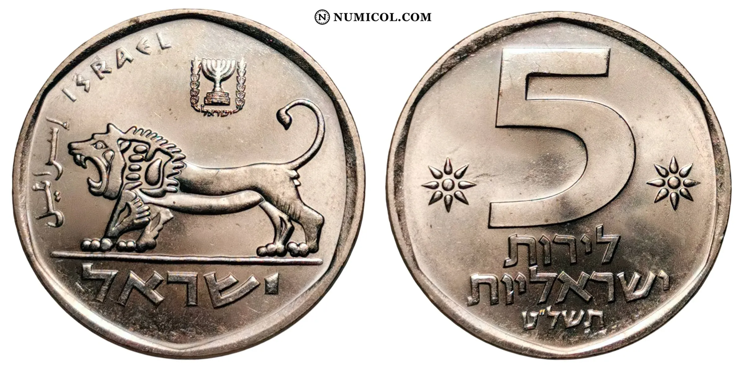 5 Lirot