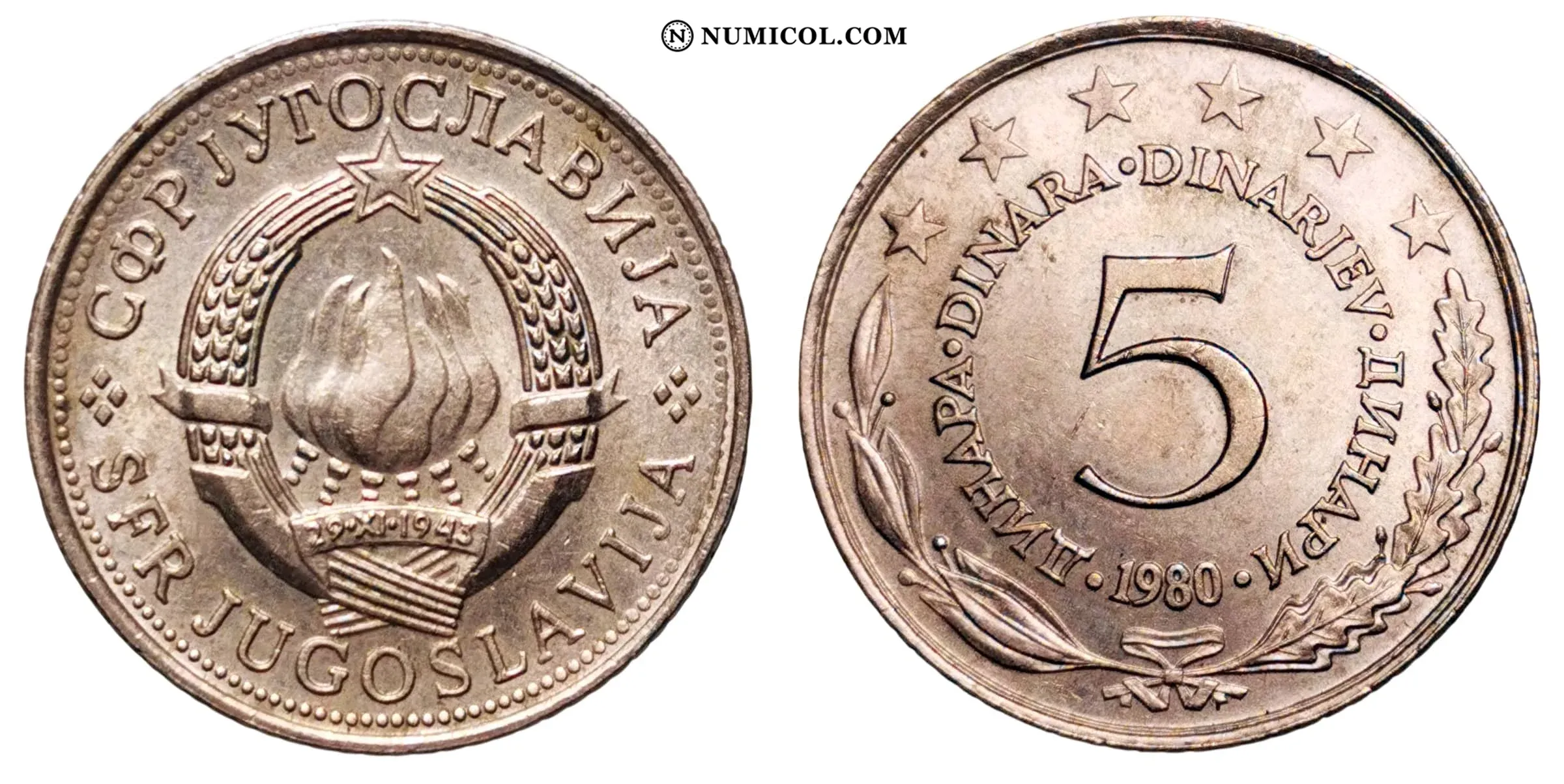 5 Dinara