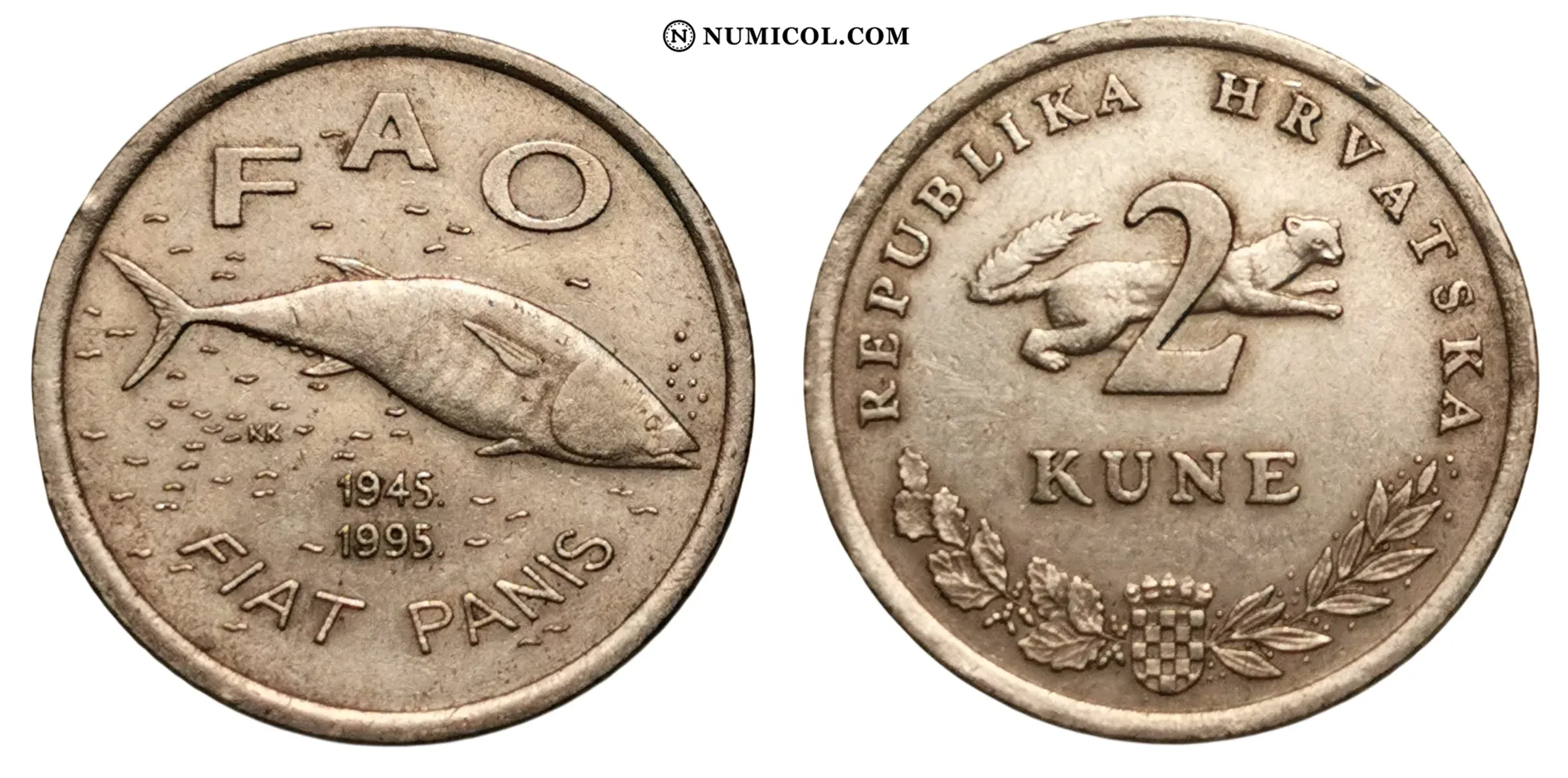 2 Kune (FAO)