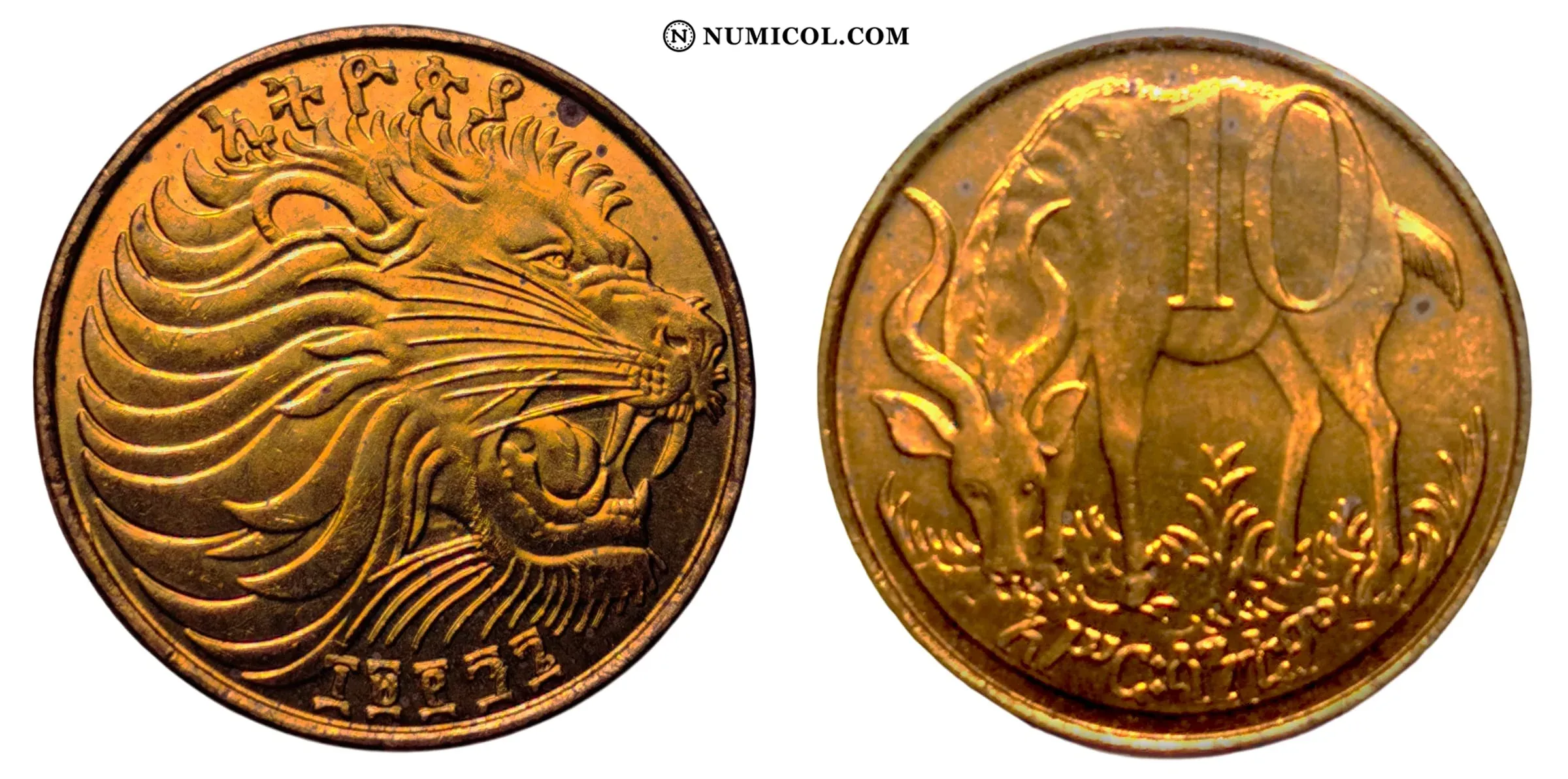 Moneda 10 Santeem (Magnética) año 2005