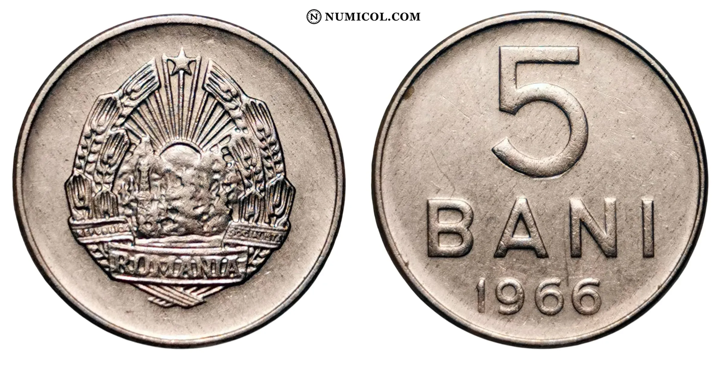 5 Bani