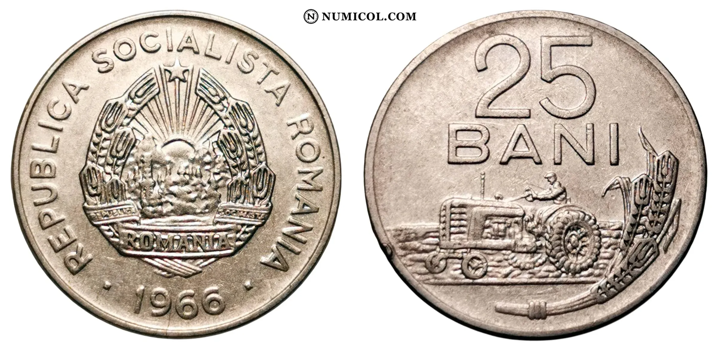 25 Bani