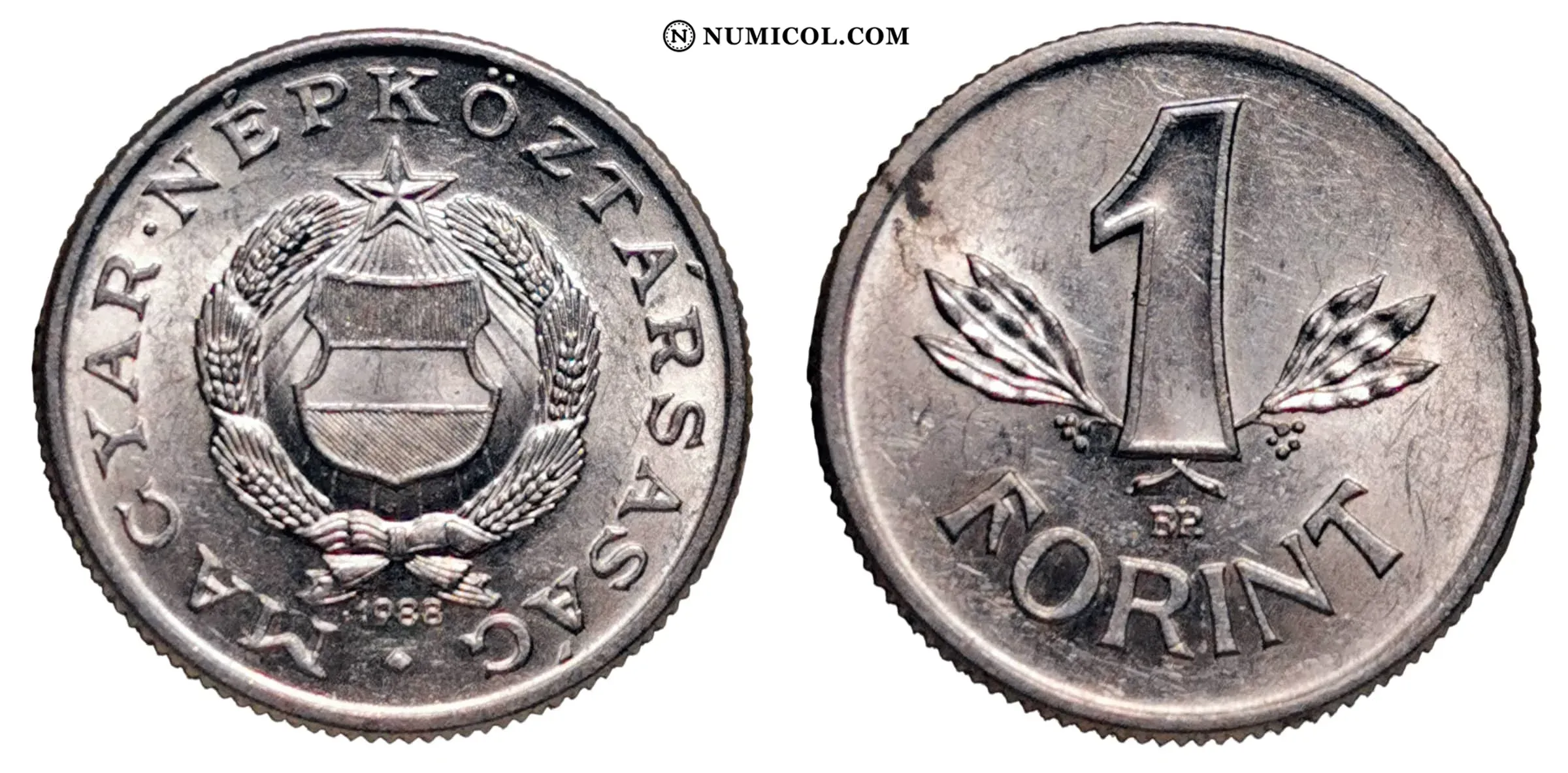 Moneda 1 Forint