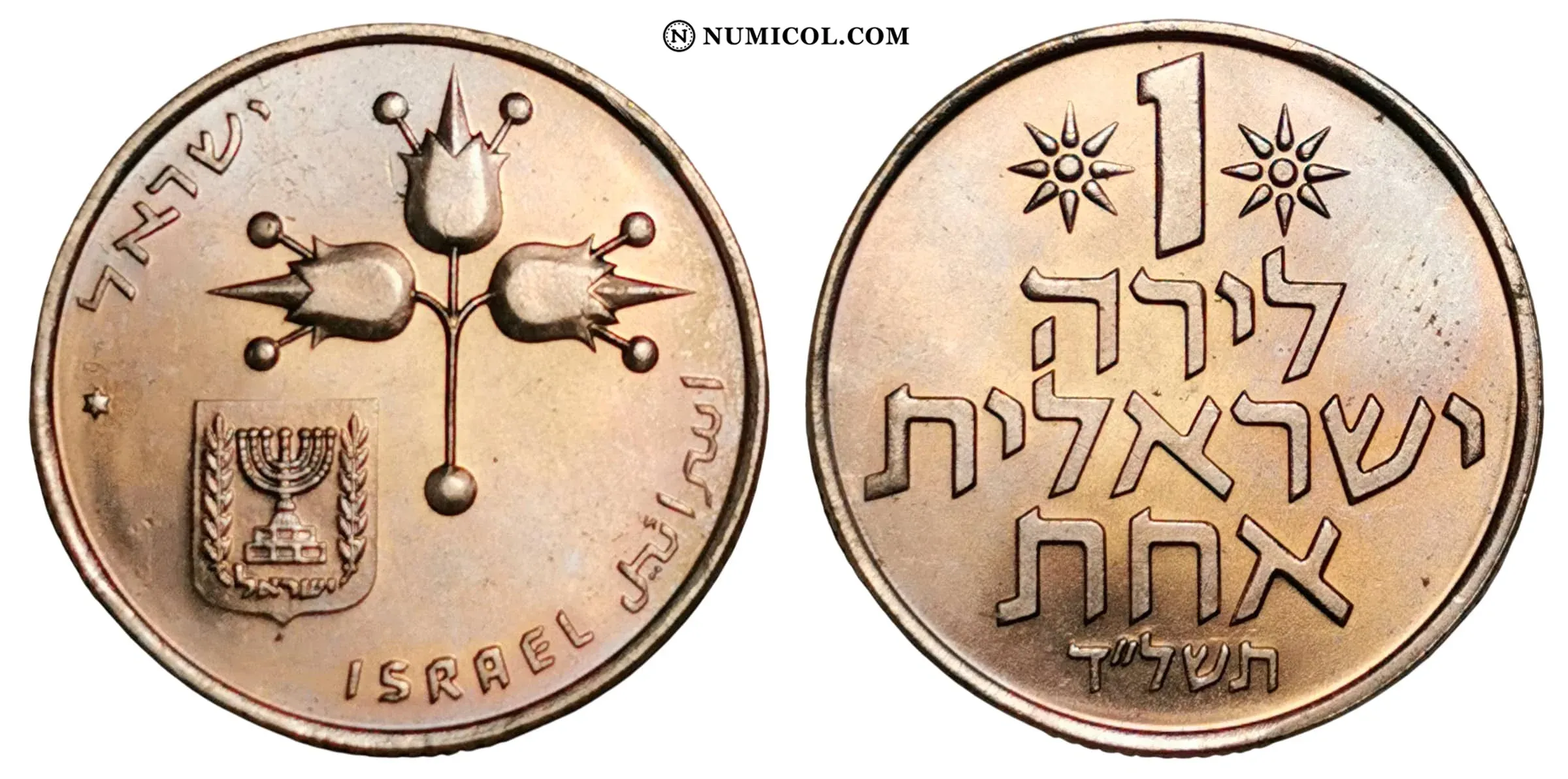 1 Lira
