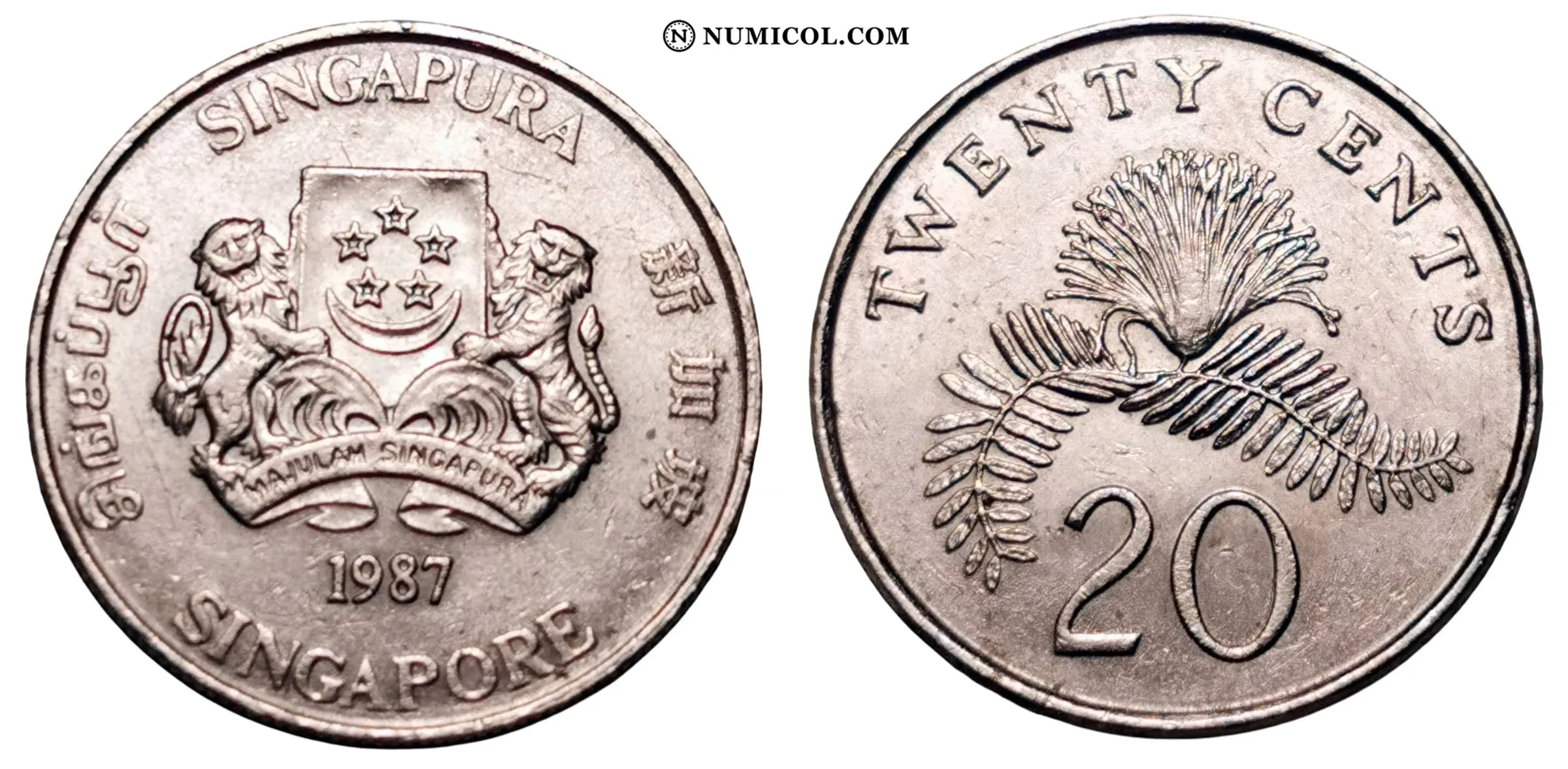 Moneda 20 Cents (ribbon upwards)