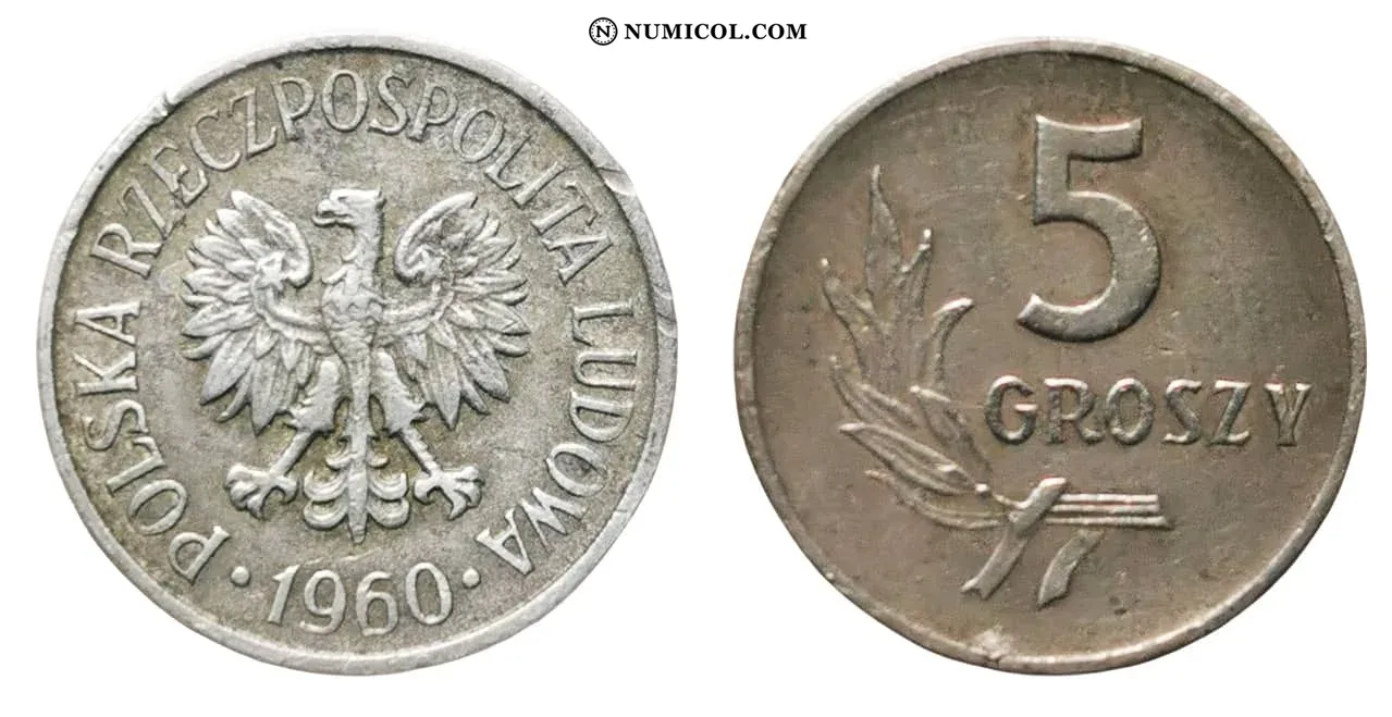 5 Groszy